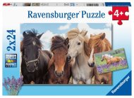 Ravensburger 051489 Fotky koní 2x24 dielikov - cena, srovnání