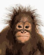 Zuty Mladý orangutan, 80x100cm bez rámu a bez napnutia plátna - cena, srovnání