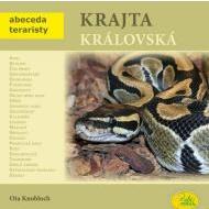 Krajta královská - cena, srovnání