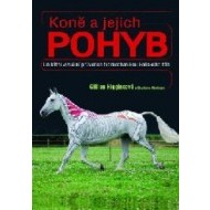 Koně a jejich pohyb - cena, srovnání