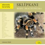 Sklípkani rodu Brachypelma