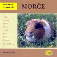 Morče - cena, srovnání