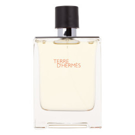 Hermes Terre DHermes 100ml