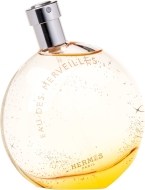 Hermes Eau des Merveilles 100 ml - cena, srovnání