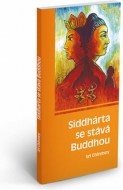 Siddhárta se stává Buddhou - cena, srovnání