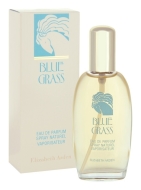 Elizabeth Arden Blue Grass 100ml - cena, srovnání