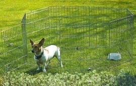 Savic Dog Park 114-3287