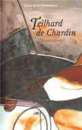 Teilhard de Chardin - cena, srovnání