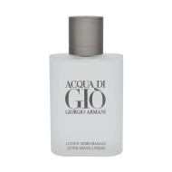 Giorgio Armani Acqua di Gio Pour Homme 100ml