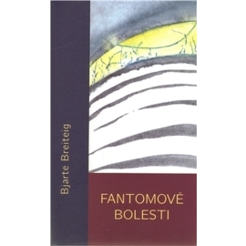 Fantomové bolesti