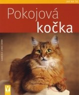 Pokojová kočka - cena, srovnání
