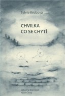 Chvilka co se chytí - cena, srovnání