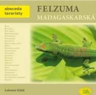 Felzuma madagaskarská - cena, srovnání