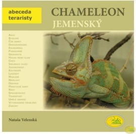 Chameleon jemenský