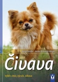 Čivava