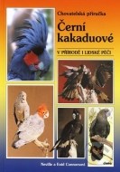 Černí kakaduové - cena, srovnání