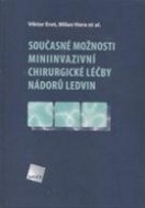 Současné možnosti miniinvazivní chirurgické léčby nádorů ledvin - cena, srovnání