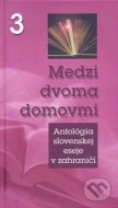 Medzi dvoma domovmi 3 - cena, srovnání