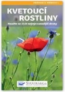 Kvetoucí rostliny - cena, srovnání