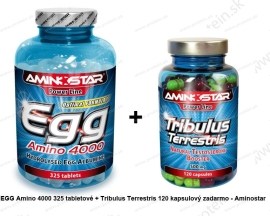 Aminostar Egg Amino 4000 325tbl