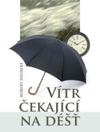 Vítr čekající na déšť - cena, srovnání