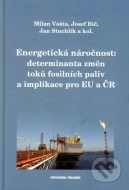 Energetická náročnost: determinanta změn toků fosilních paliv a implikace pro EU a ČR - cena, srovnání