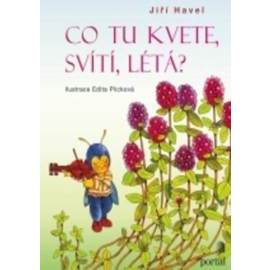 Co tu kvete, svítí, létá?