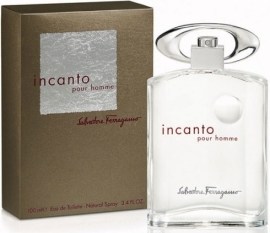 Salvatore Ferragamo Incanto Pour Homme 30 ml