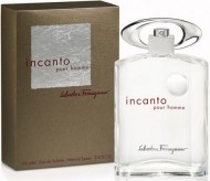 Salvatore Ferragamo Incanto Pour Homme 30 ml - cena, srovnání