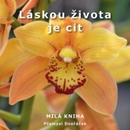 Láskou života je cit - cena, srovnání