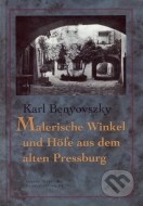 Malerische Winkel und Höfe aus dem alten Pressburg - cena, srovnání