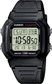 Casio W-800