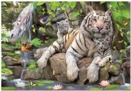 Educa Biely bengálsky tiger - 1000 - cena, srovnání
