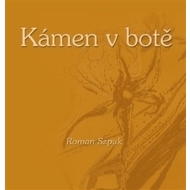 Kámen v botě - cena, srovnání
