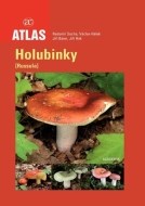 Holubinky - cena, srovnání