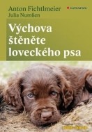Výchova štěněte loveckého psa - cena, srovnání