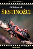 Šestinožci - cena, srovnání