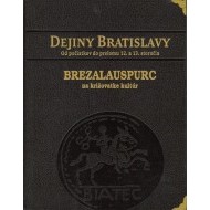Dejiny Bratislavy - cena, srovnání