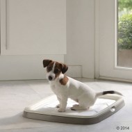 Savic Puppy Trainer 114-3240 - cena, srovnání