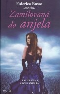 Zamilovaná do anjela - cena, srovnání