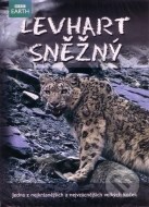 Levhart snězný - cena, srovnání