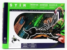 Mac Toys Anatomický model 4D - Škorpión