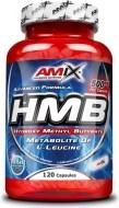 Amix HMB 120kps - cena, srovnání