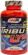 Amix Tribu-Lyn 220kps - cena, srovnání
