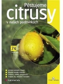 Pěstujeme citrusy v našich podmínkách