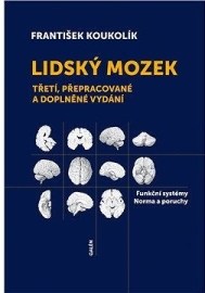 Lidský mozek