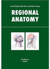 Regional anatomy