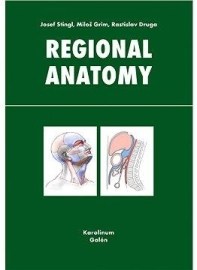 Regional anatomy