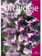 Orchideje na zahradě - cena, srovnání