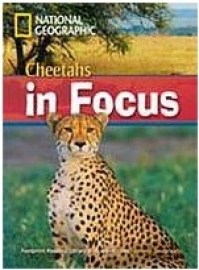 Footprint Reading Library 2200 Cheetahs in Focus